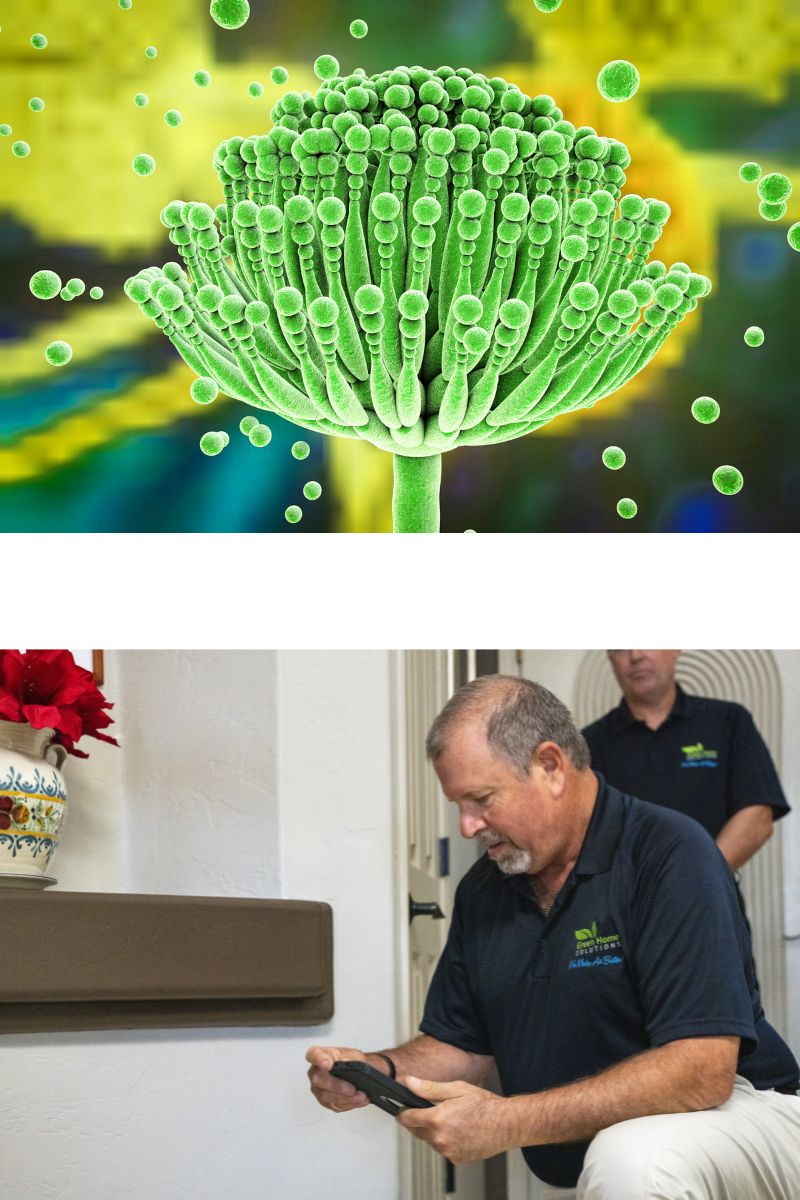 Green Home Solutions Mycotoxin Testing