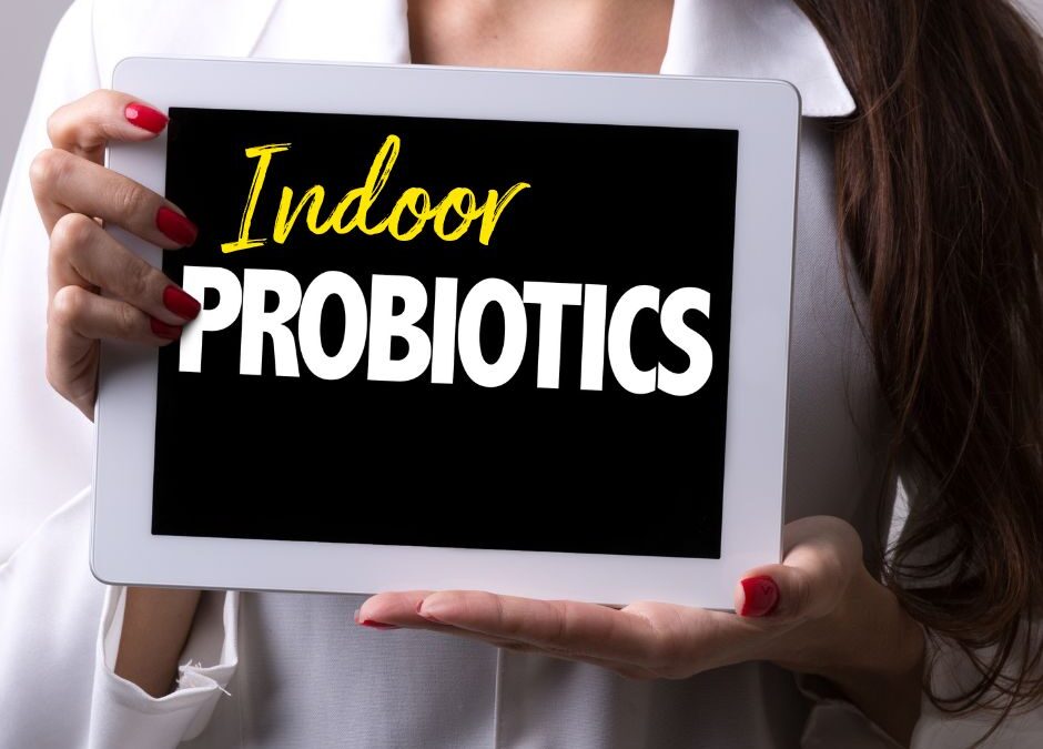 Revitalize Your Spaces with Indoor Probiotics!