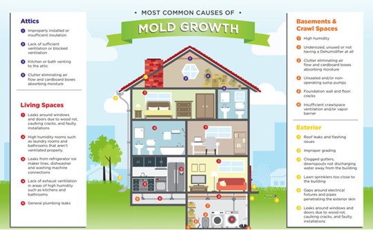 Infographic showing common causes of mold growth in attics, living spaces, basements, and exteriors.