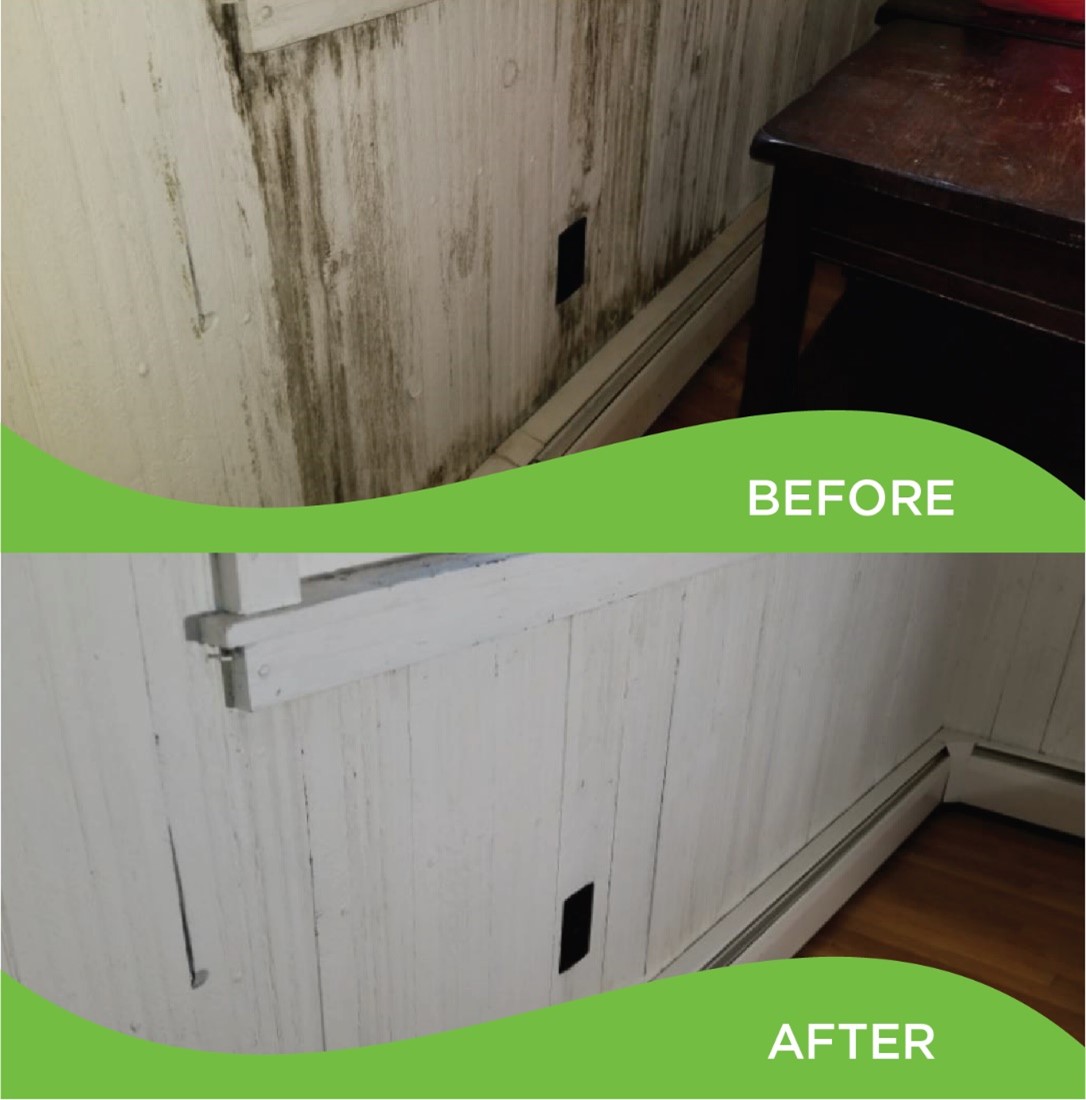 Before and After Collage of a Wall with Mold on it Before Mold Removal Services and the Wall Without Mold on it Afterwards