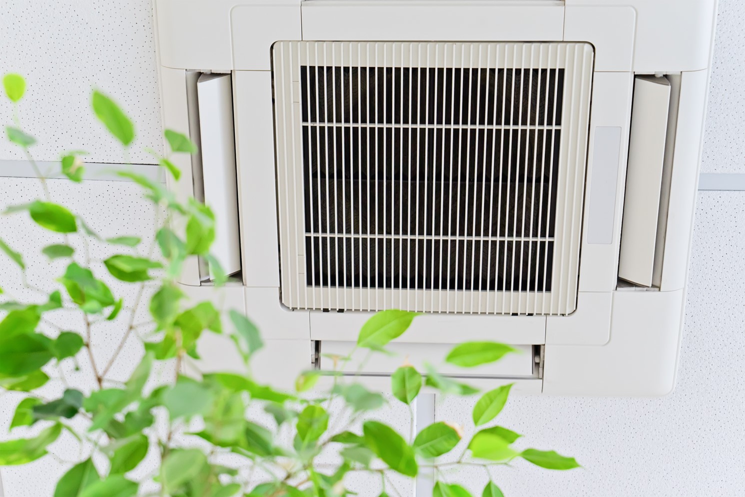 An air conditioning vent with leaves in front of it.