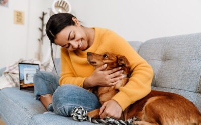 Just Because You Have Pets Doesn’t Mean Your Home Has to Smell Like It