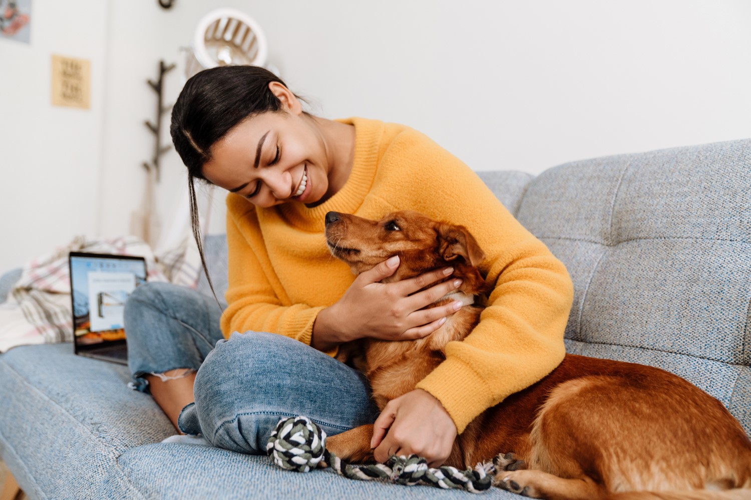 A Smiling Woman in a Yellow Sweatshirt and Jeans Sits on a Couch and Embraces a Red-Haired Dog Sitting with its Rope Toy