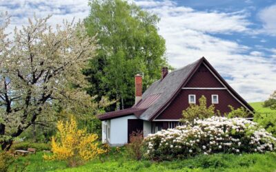 Post Winter Mold Threat to Indoor Air Quality