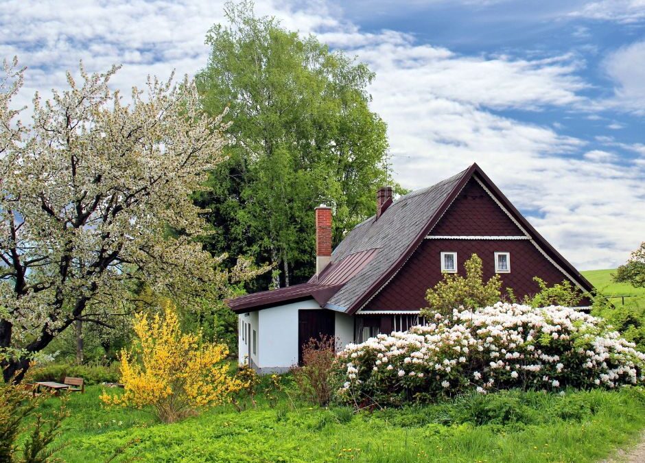 Post Winter Mold Threat to Indoor Air Quality
