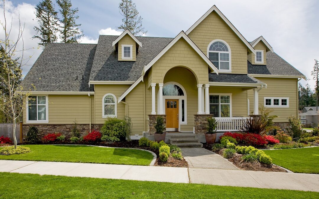 The Exterior Causes of Mold and How to Tackle Them