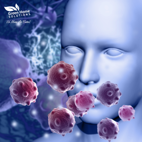 Green Home Solutions Indoor Allergy Control Illustration of a head focused on the nose inhaling allergy particles