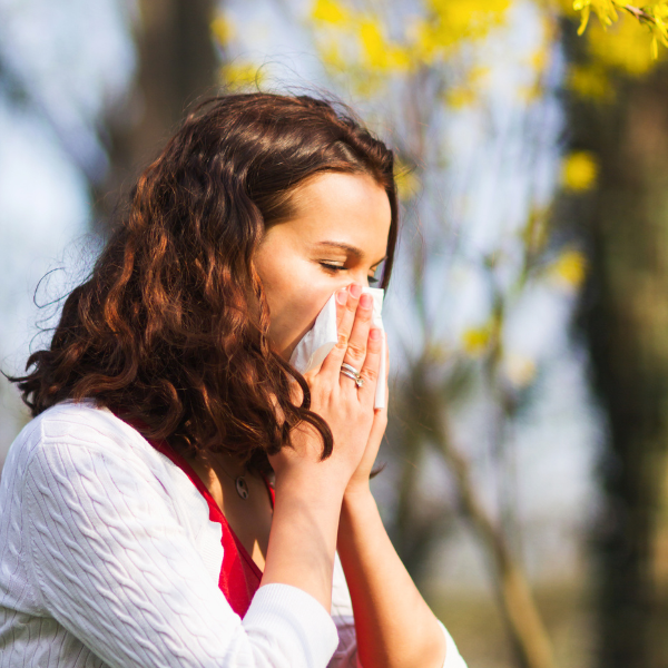 Control Your Allergies This Spring Lady in a white sweater outside under yellow leaves sneezing into a tissue because of allergies