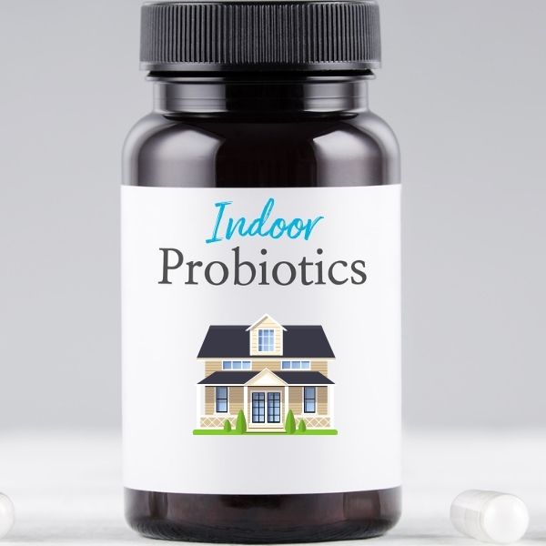 Indoor Probiotics from Green Home Solutions a small brown house surrounded by spring flowers and green grass