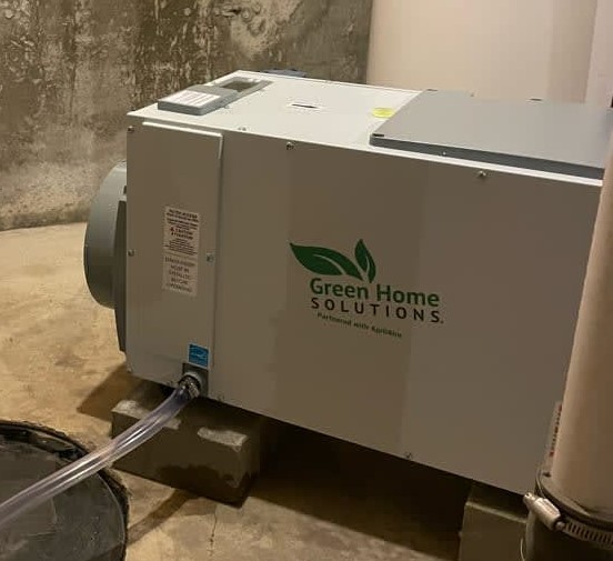 Five Fall Mold Prevention Tips