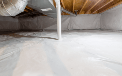 How Crawl Space Moisture Leads to Mold—And What to Do About It