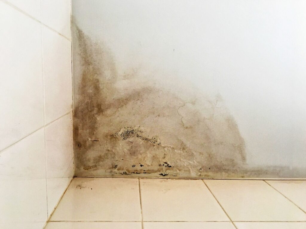 The corner of a wall with a large dark shadow and peeling paint indicating underlying water damage.