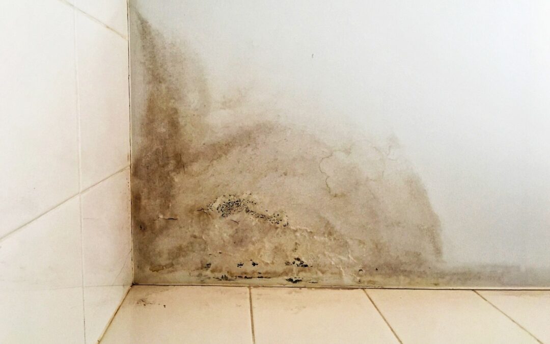 How Do You Know if Unseen Mold is Lurking in Your Home?