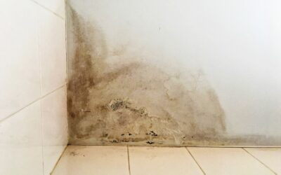 How Do You Know if Unseen Mold is Lurking in Your Home?