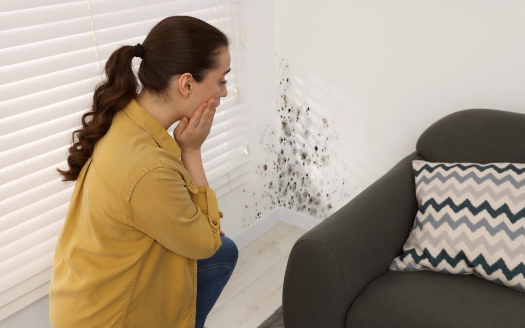 Can Mold Come Back After Remediation?