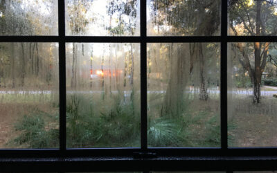 Why Mold Removal and Prevention Matter This Fall