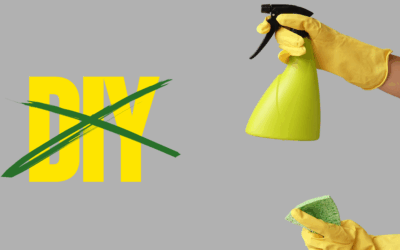 What DIY Mold Remediation and Removal Misses