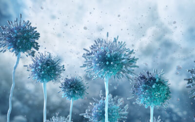 Mycotoxin Remediation: Beyond Standard Mold Cleanup