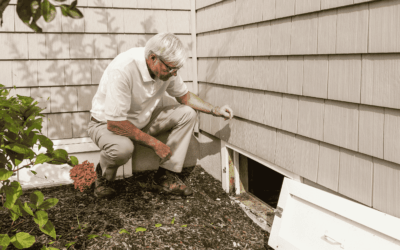 Indoor Air Quality in Homes: Hidden Issues Every Homebuyer Should Know