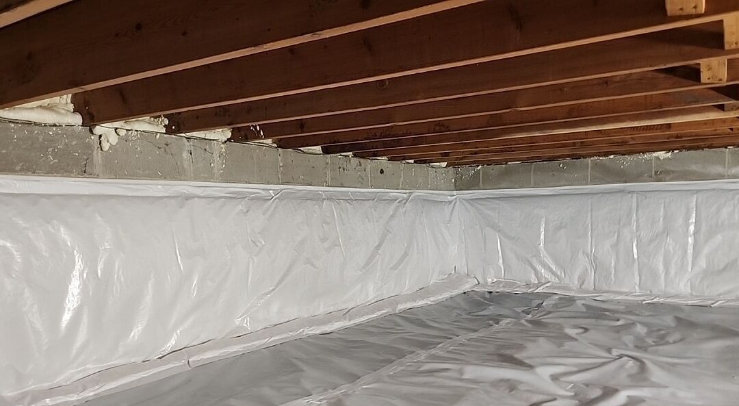 How to Choose the Best Crawl Space Mold Removal and Encapsulation Company
