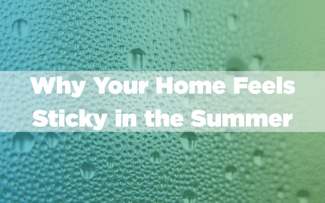 What a Sticky Home in the Summer Means for Mold Growth
