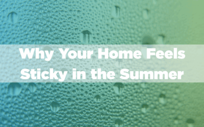 What a Sticky Home in the Summer Means for Mold Growth