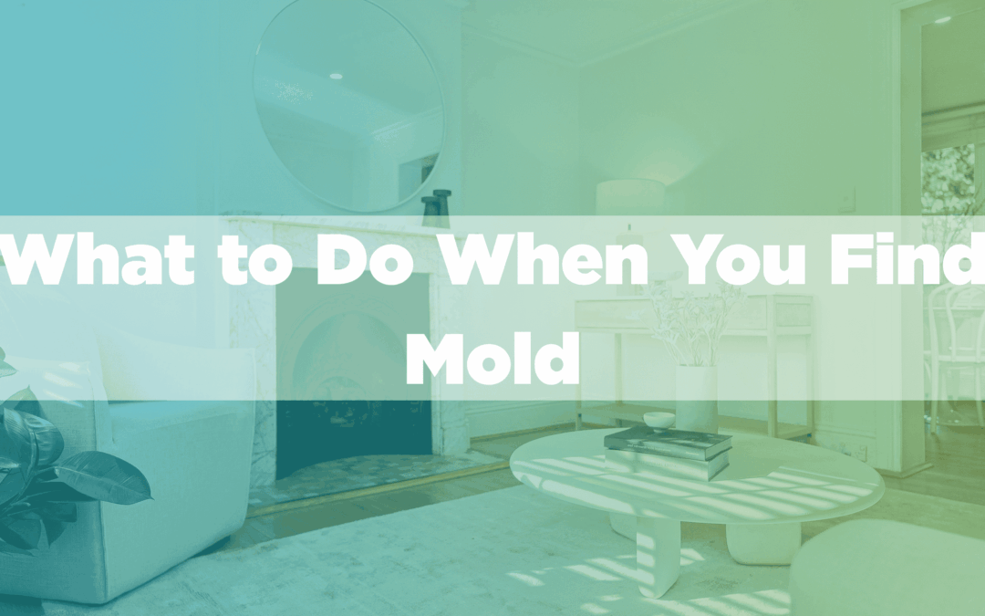 What to Do When You Find Mold: Why Panic Isn’t the Answer (and Remediation Is)
