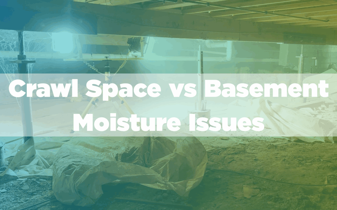 Crawl Space vs Basement Moisture Issues: What Homeowners Need to Know