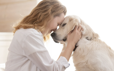 Indoor Odor Removal Services: Eliminate Musty, Pet & Smoke Smells Fast