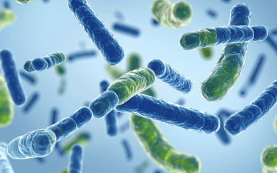 Probiotic Air Purification: A Natural Solution for Cleaner Indoor Air