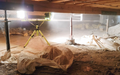 Crawl Space vs Basement Moisture Issues: What Homeowners Need to Know