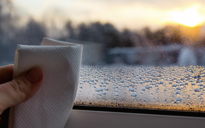 What a Sticky Home in the Summer Means for Mold Growth