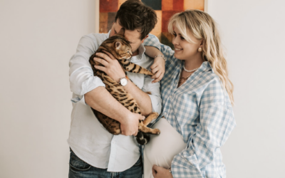 Better Indoor Air Quality for Pet Owners: A Green Home Solutions Guide