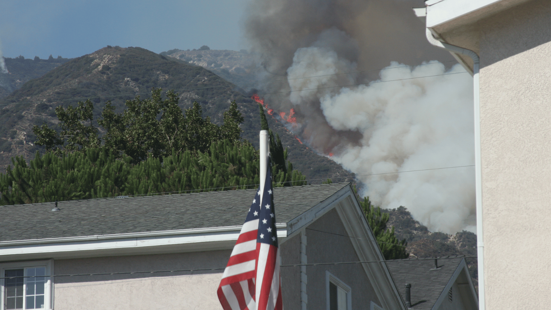 Wildfire