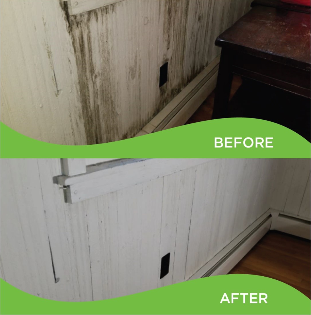 Before and After Collage of a wall Before and After Collage of a Wall with Mold on it Before Mold Removal Services and the Wall Without Mold on it Afterwards